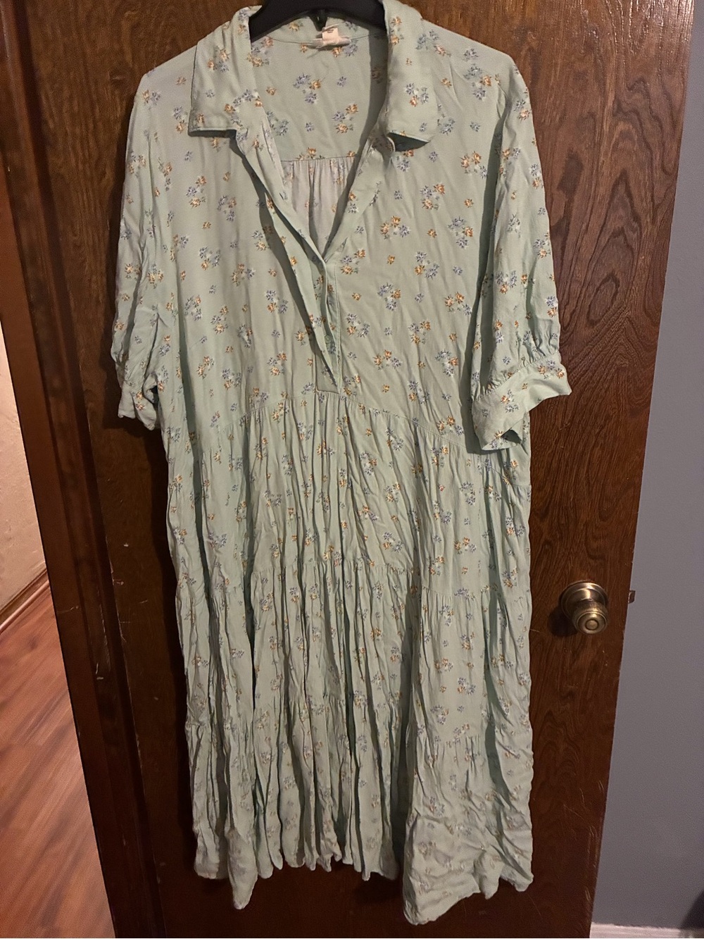 a.n.a Light Green Floral Button-Front Maxi Dress